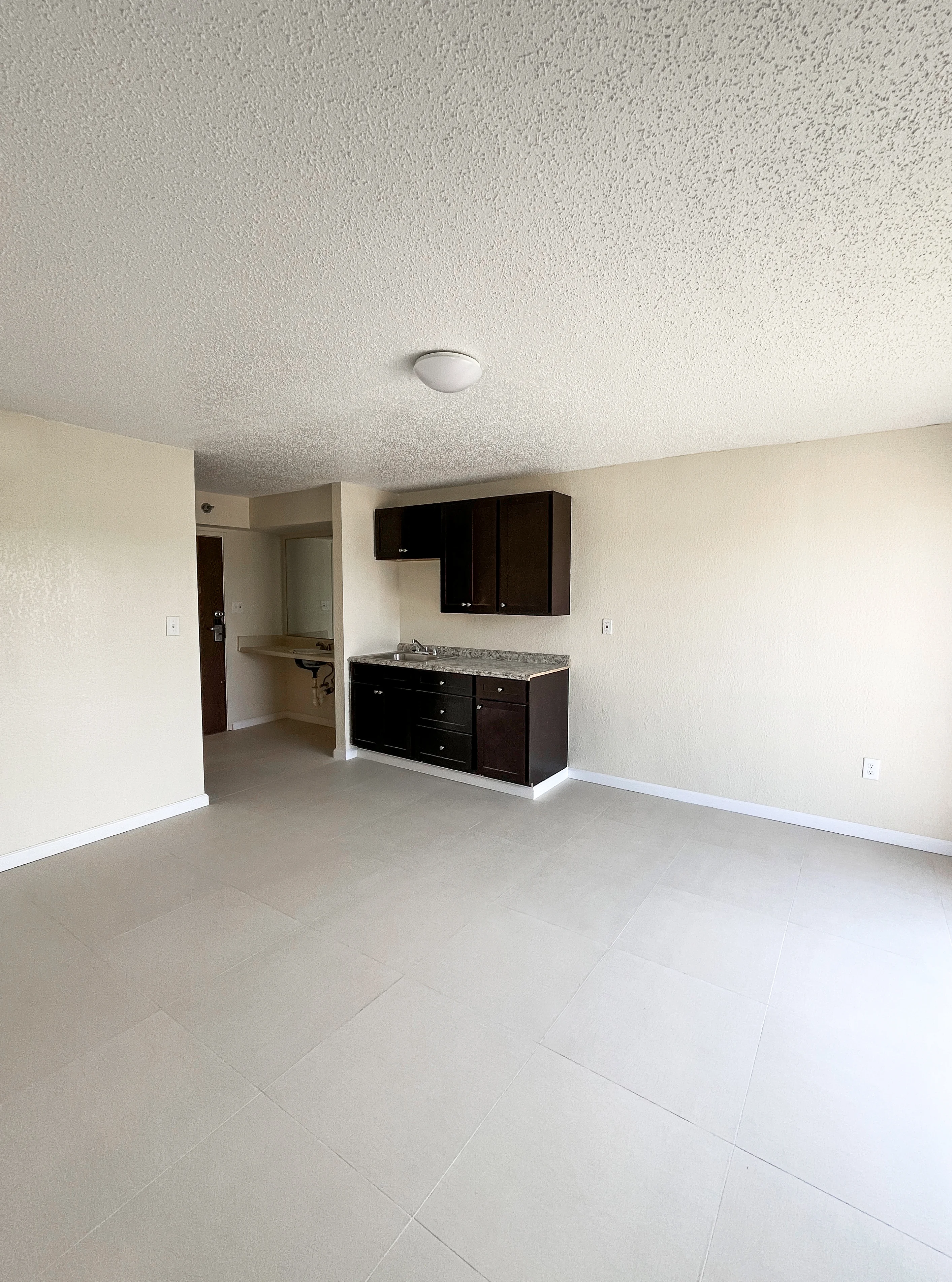 Open apartment interior with kitchenette